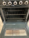 Summit Natural Gas Stove 24inches (Stainless Steel) 